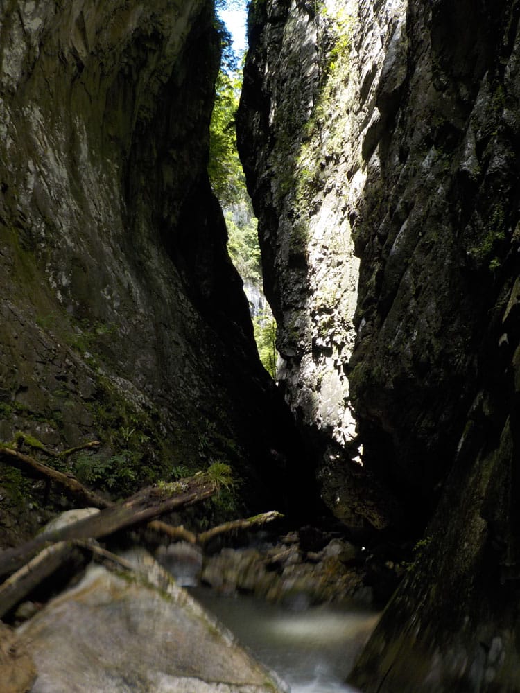 Canyon Ourdaybi